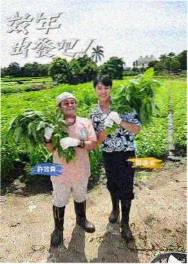 极限挑战 第九季 97影院